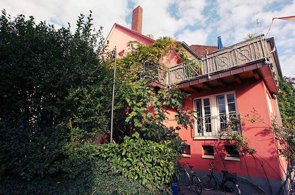 garden